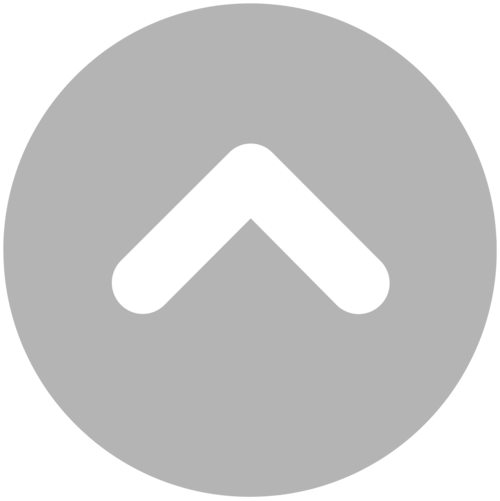 ToTopIcon